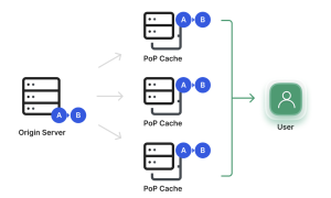 Diagram of successful purge caching