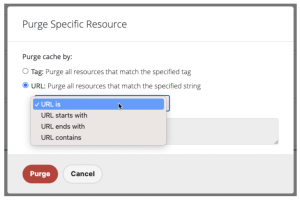 Specific purge cache filtering with Imperva