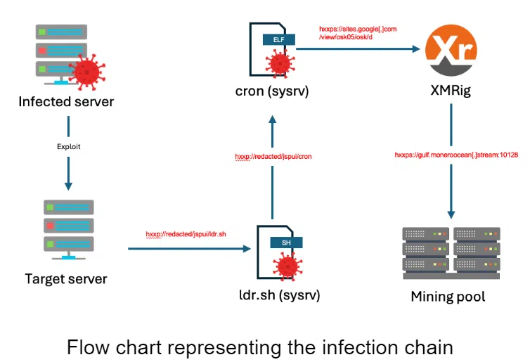 Flow chart representing the infection chain