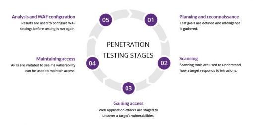 Qué es la prueba de penetración/proceso y métodos paso a paso | Mark's